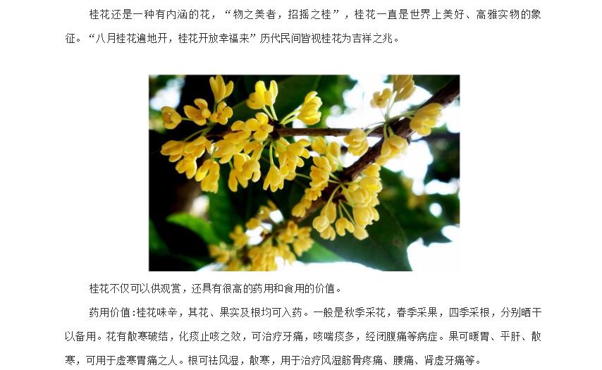 电子游戏app官网下载