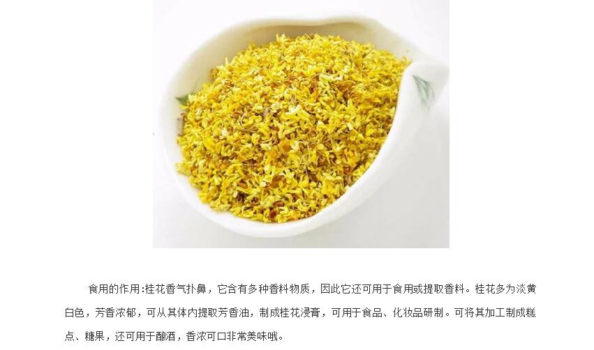 电子游戏app官网下载