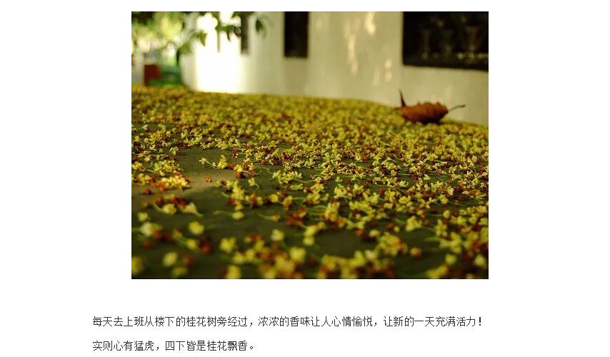 电子游戏app官网下载