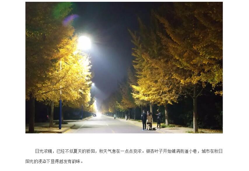 电子游戏app官网下载