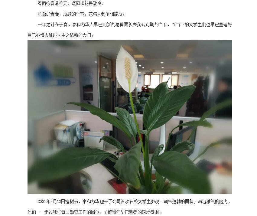 电子游戏app官网下载
