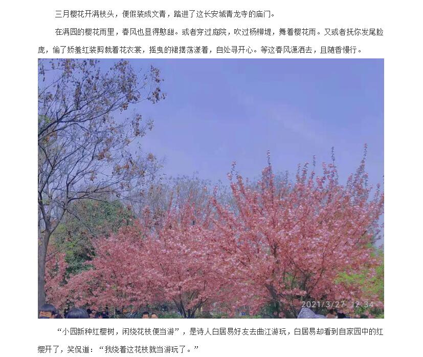 电子游戏app官网下载