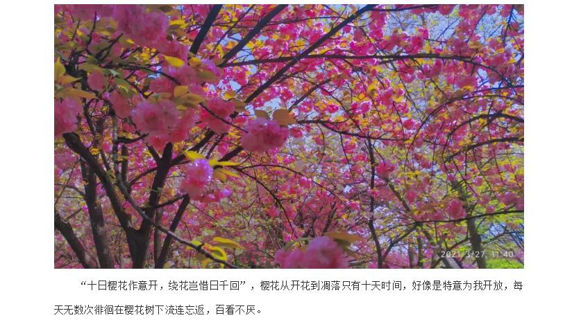 电子游戏app官网下载