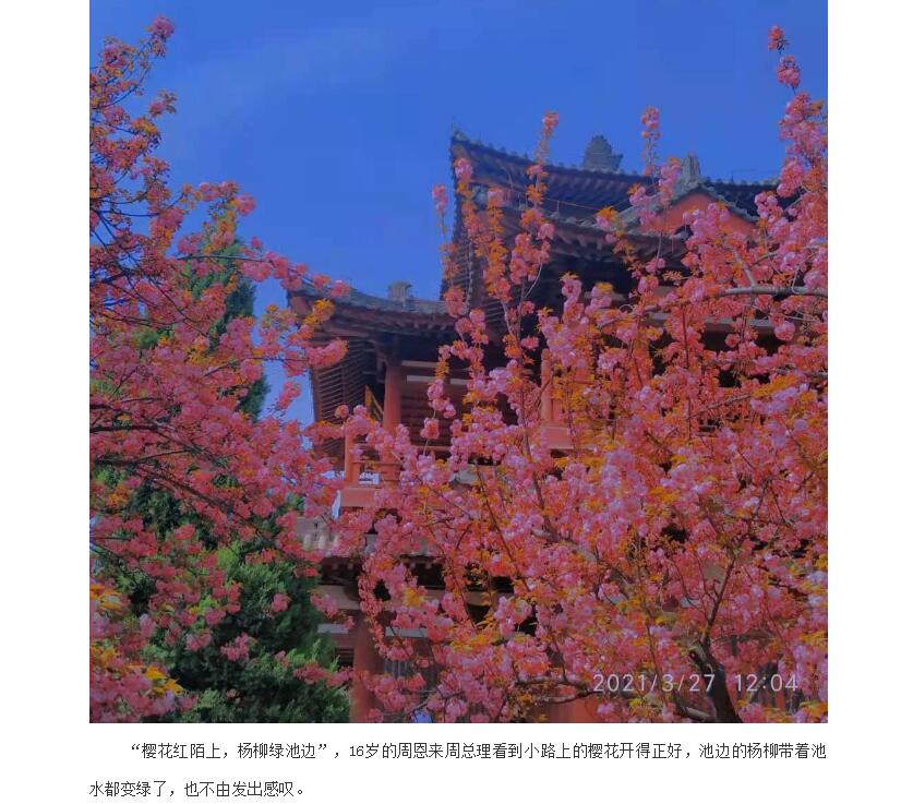 电子游戏app官网下载