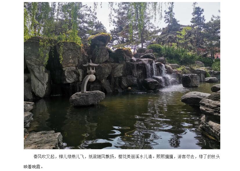 电子游戏app官网下载