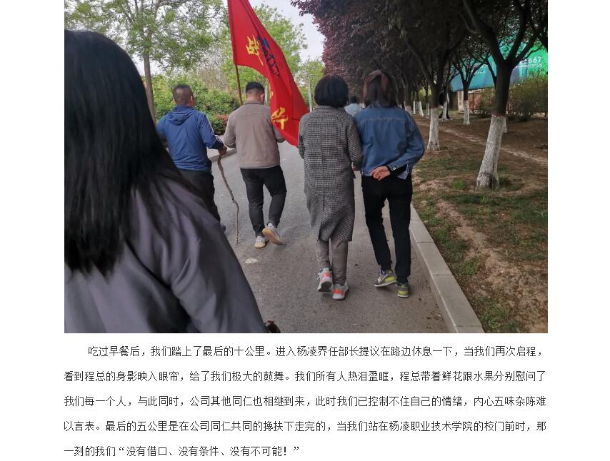 电子游戏app官网下载