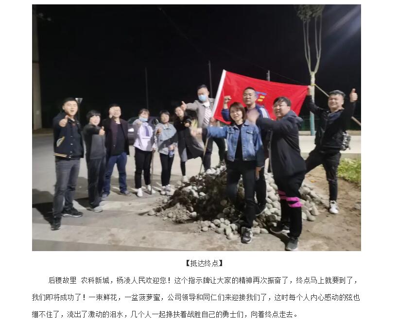 电子游戏app官网下载