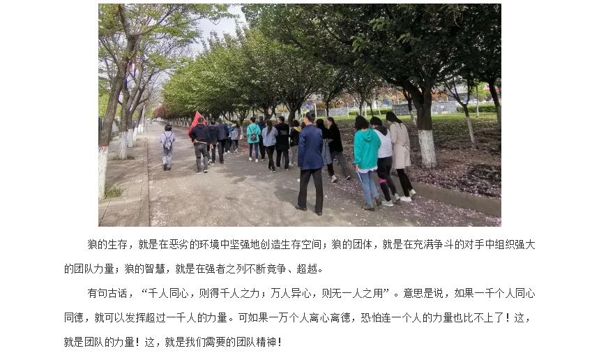 电子游戏app官网下载