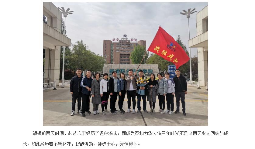 电子游戏app官网下载