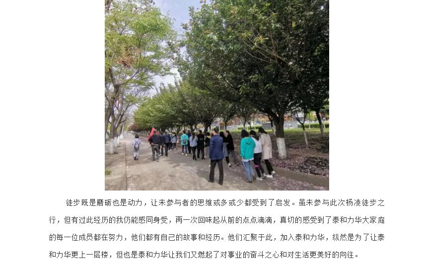 电子游戏app官网下载