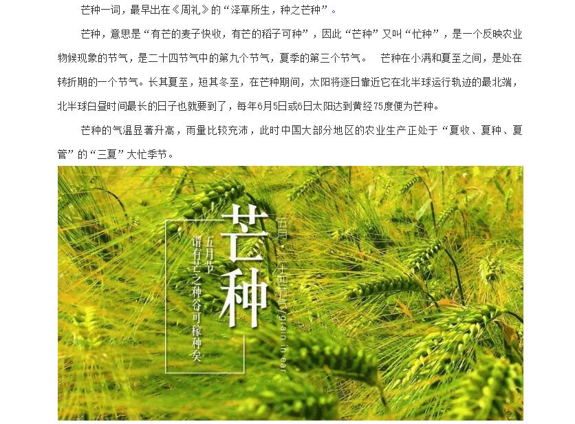 电子游戏app官网下载