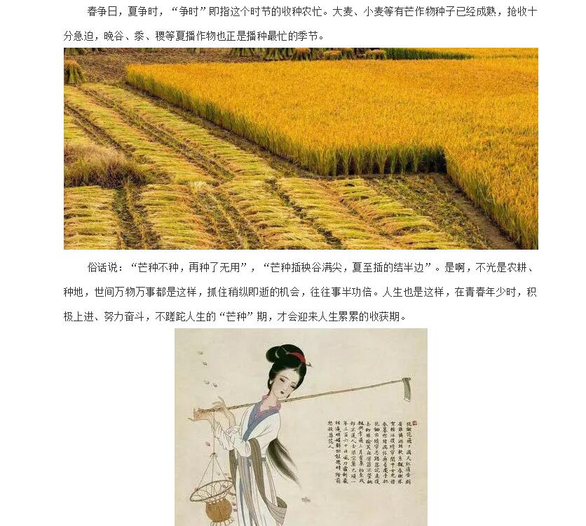 电子游戏app官网下载