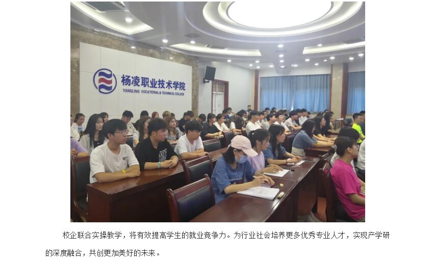 电子游戏app官网下载