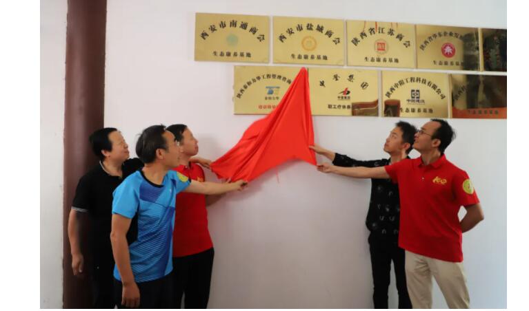 电子游戏app官网下载