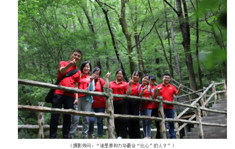 电子游戏app官网下载