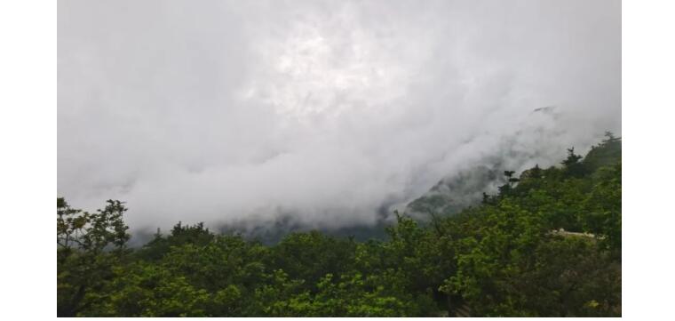 电子游戏app官网下载