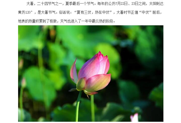 电子游戏app官网下载