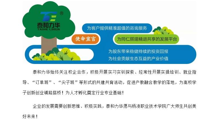电子游戏app官网下载