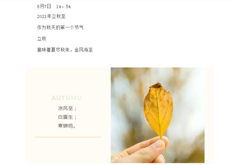 电子游戏app官网下载