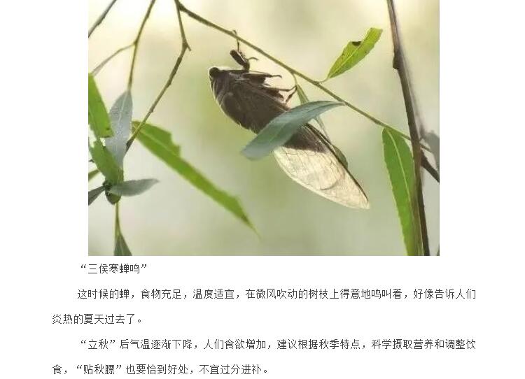 电子游戏app官网下载