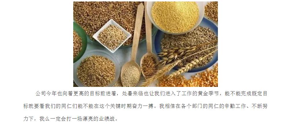 电子游戏app官网下载