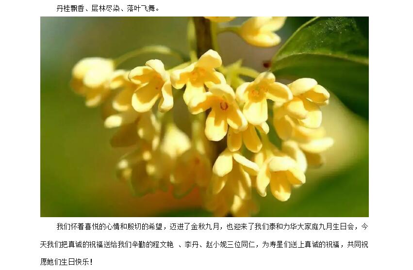 电子游戏app官网下载