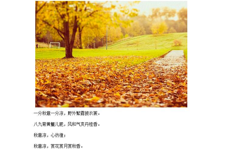 电子游戏app官网下载