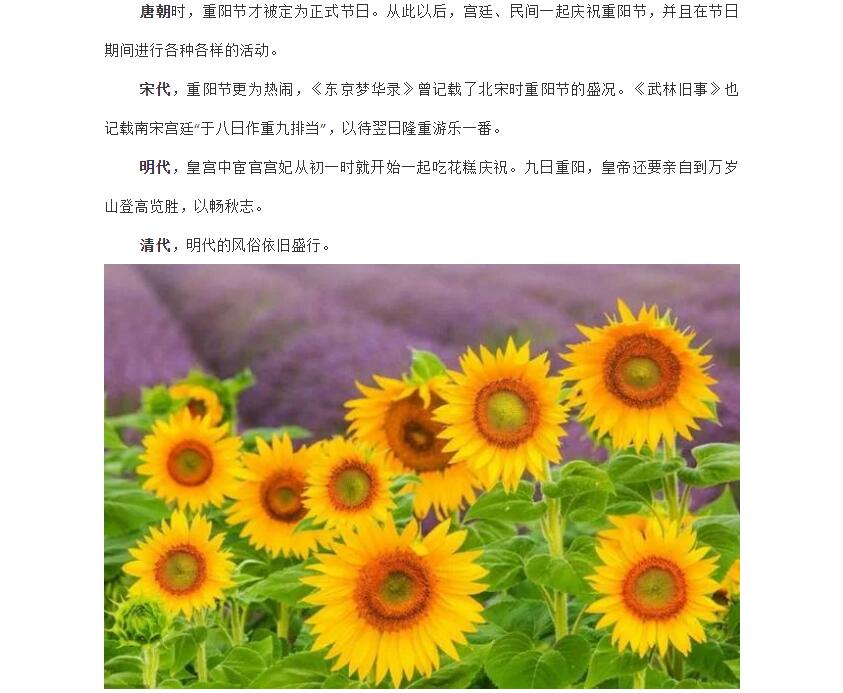 电子游戏app官网下载