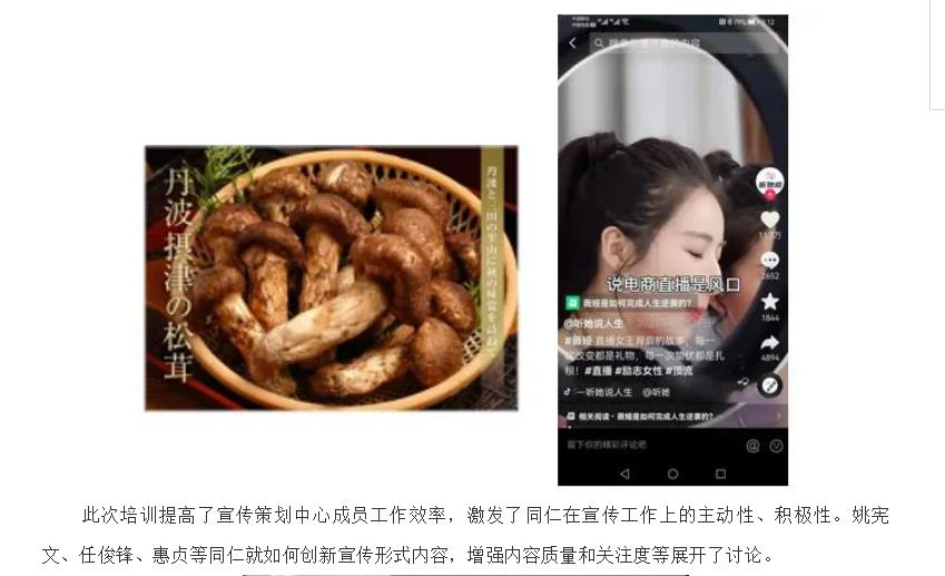 电子游戏app官网下载