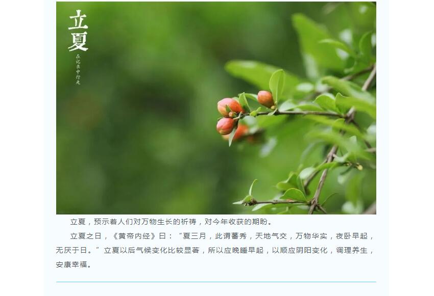 电子游戏app官网下载