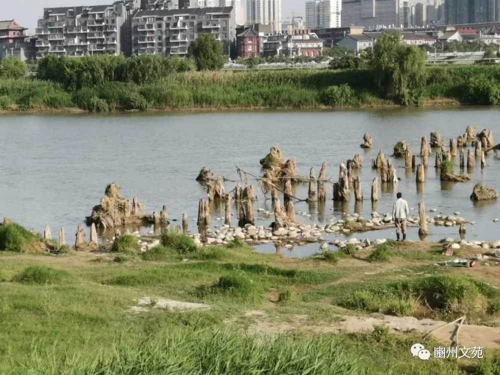电子游戏app官网下载