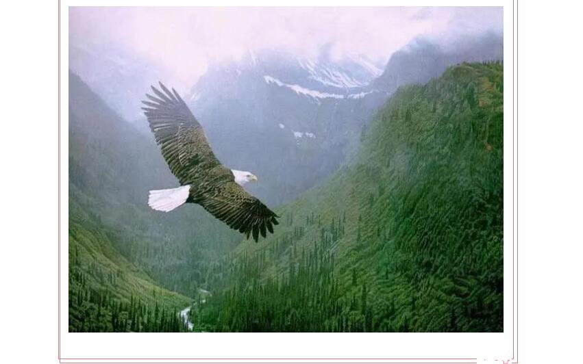 电子游戏app官网下载