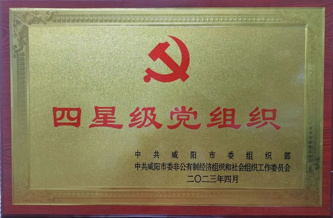 电子游戏app官网下载