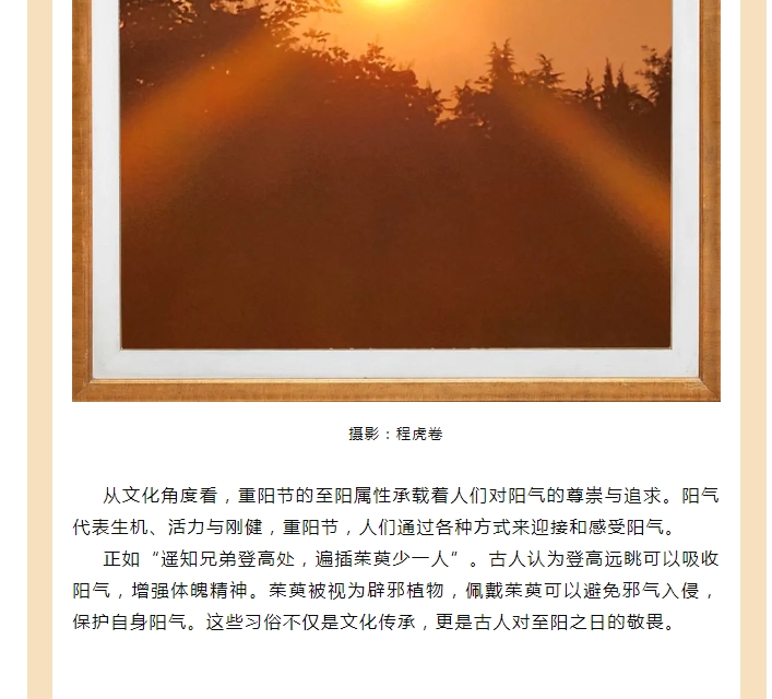 电子游戏app官网下载