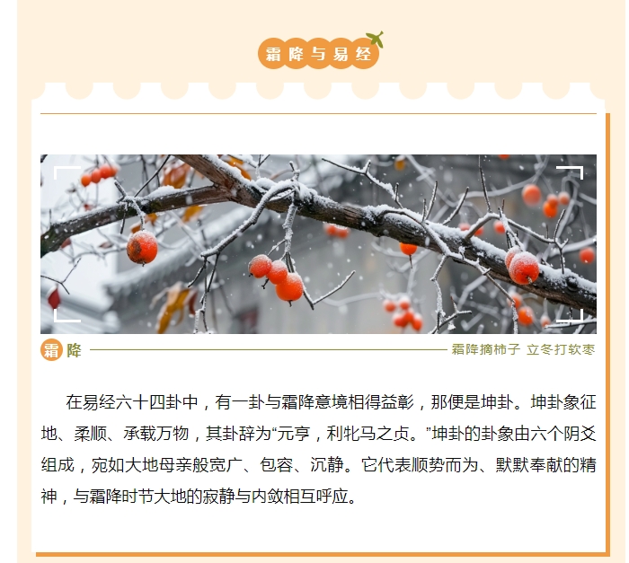 电子游戏app官网下载