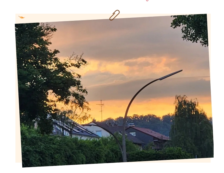 电子游戏app官网下载