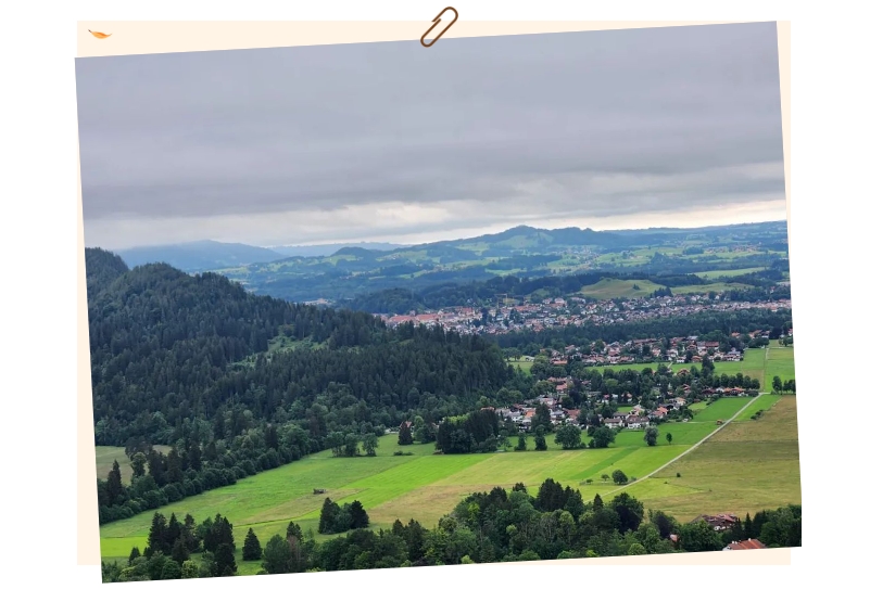 电子游戏app官网下载