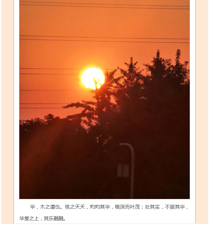 电子游戏app官网下载
