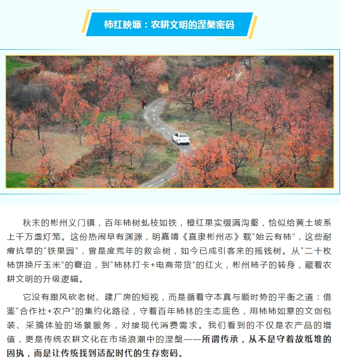 电子游戏app官网下载