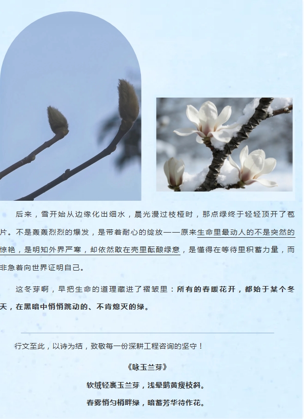 电子游戏app官网下载