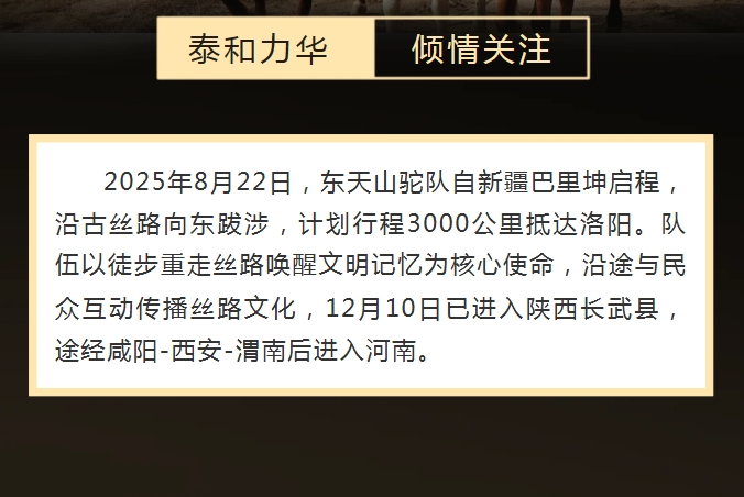 电子游戏app官网下载