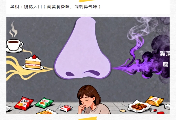 电子游戏app官网下载