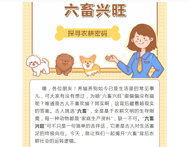 电子游戏app官网下载