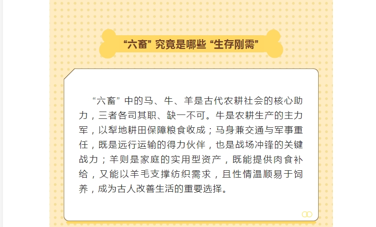 电子游戏app官网下载