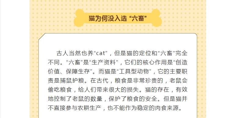 电子游戏app官网下载
