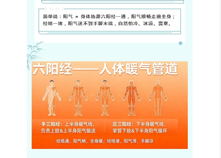 电子游戏app官网下载