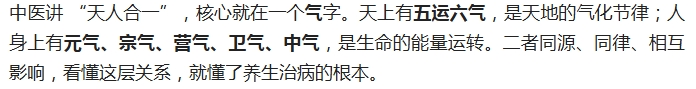 电子游戏app官网下载