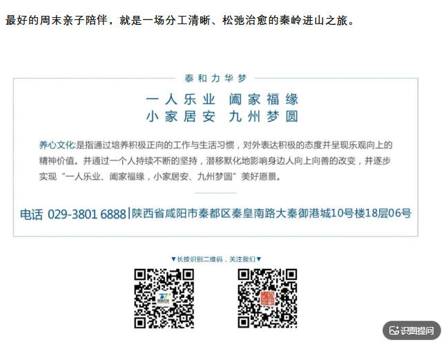 电子游戏app官网下载